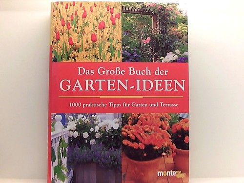 Das grosse buch - buch, der